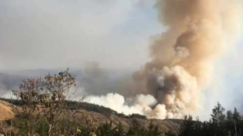 Muchos incendios son premeditados y se inician procesos, suman 3.4 millones de hectáreas quemadas en Bolivia