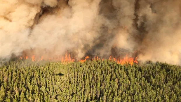 Ontario forest fires burned hectares of land larger than Greater Toronto Area in 2021