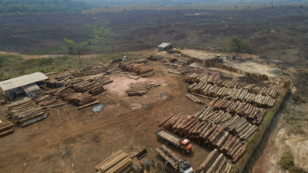 Brazil’s Amazon deforestation surges to highest level in 15 years