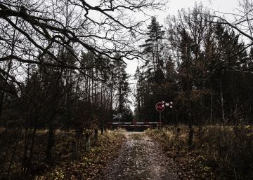 El bosque de Bialowieza, el bello e inhóspito camino de los migrantes hacia el interior de la UE
