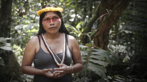 The forest is our teacher. It’s time to respect it | Nemonte Nenquimo