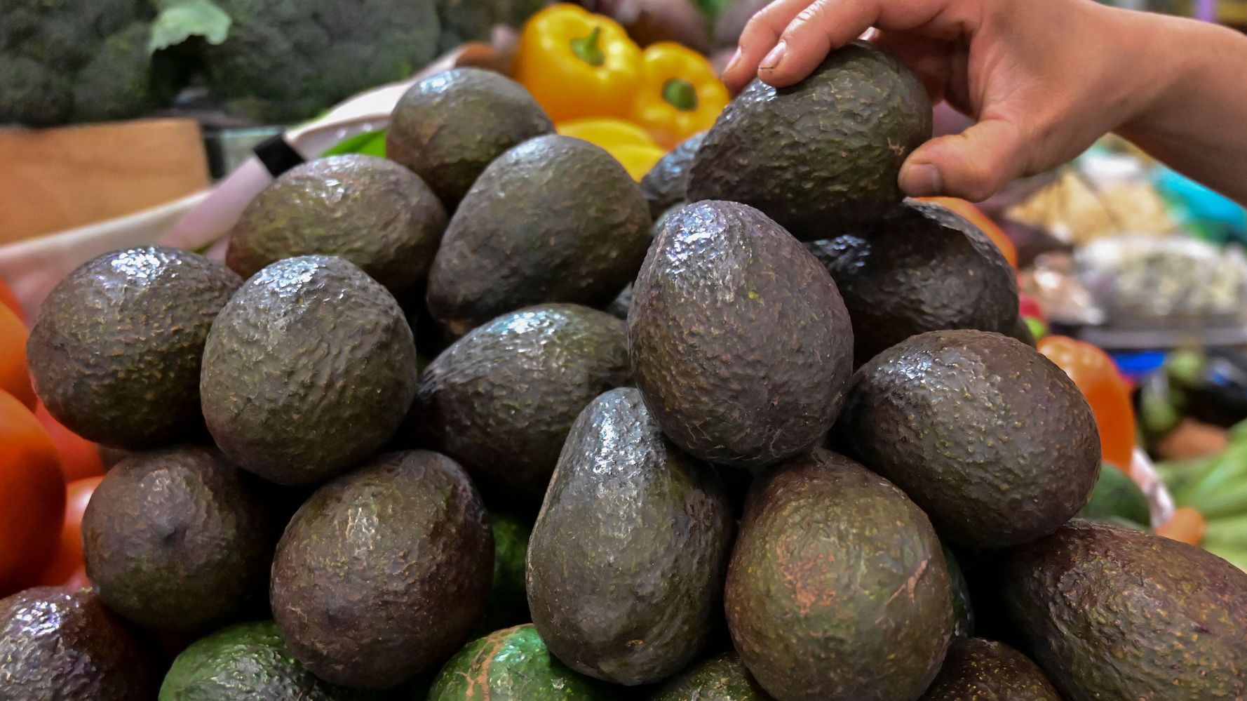 Mexican Avocados’ Ties To Drug Cartels And Deforestation Are An Open Secret