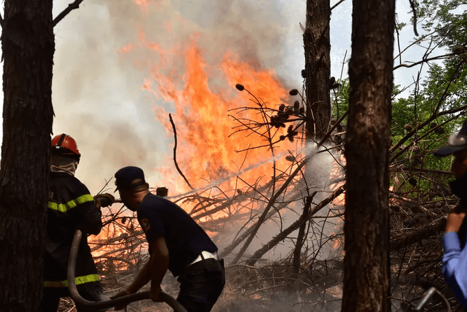 Incendios forestales de gran magnitud en Argentina siguen fuera de control tras casi un mes