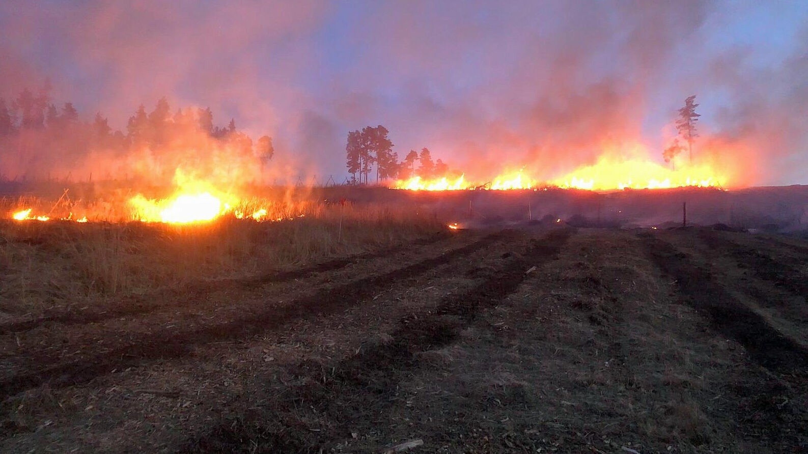145 firefighters – large-scale operation in Lower Austria: 20 hectares of forest on fire