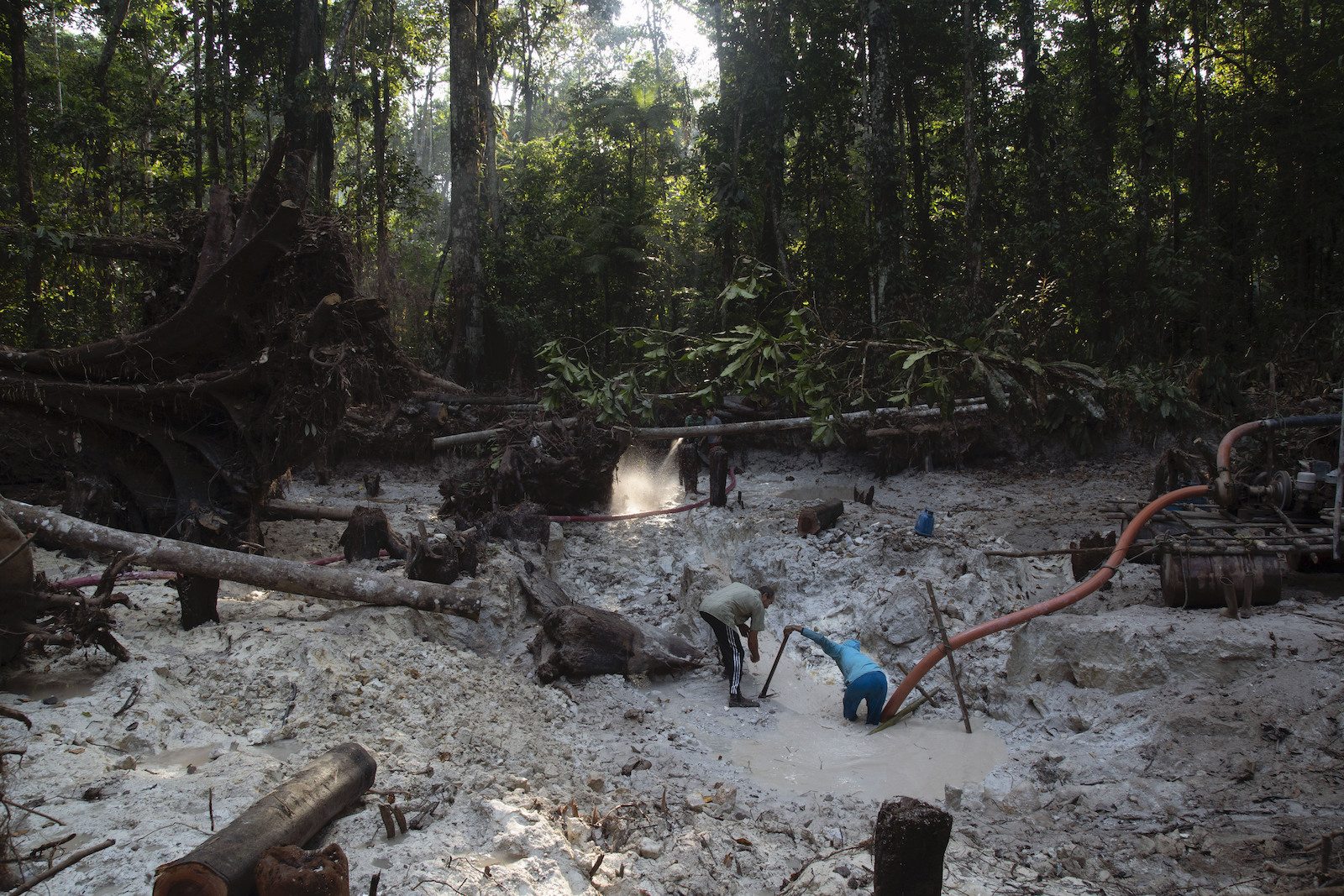 Amid illegal Amazon gold mining, Indigenous land defenders get reinforcements
