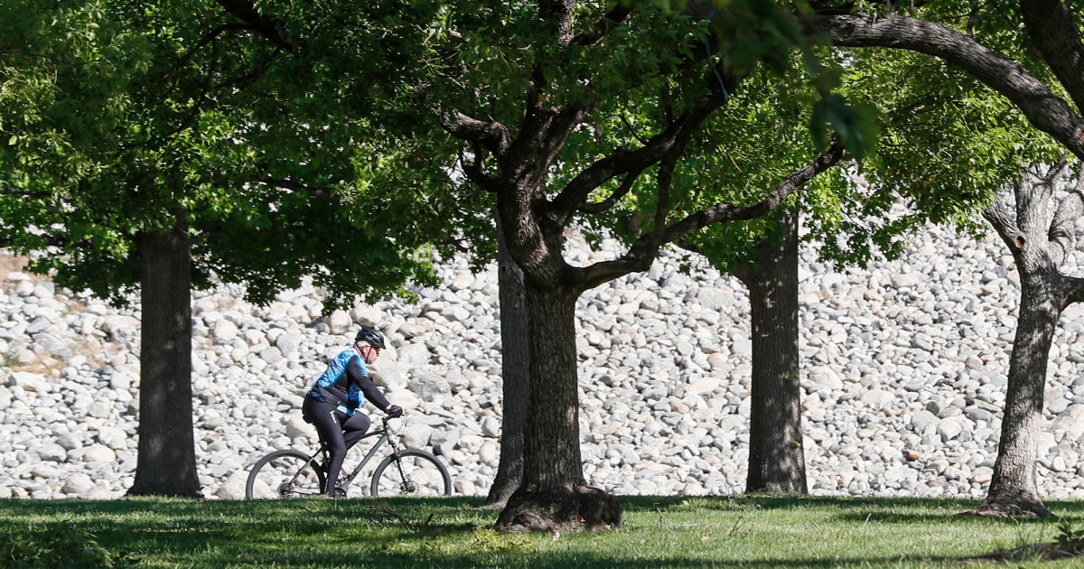 Cities look to trees to combat heat islands, but growth is slow