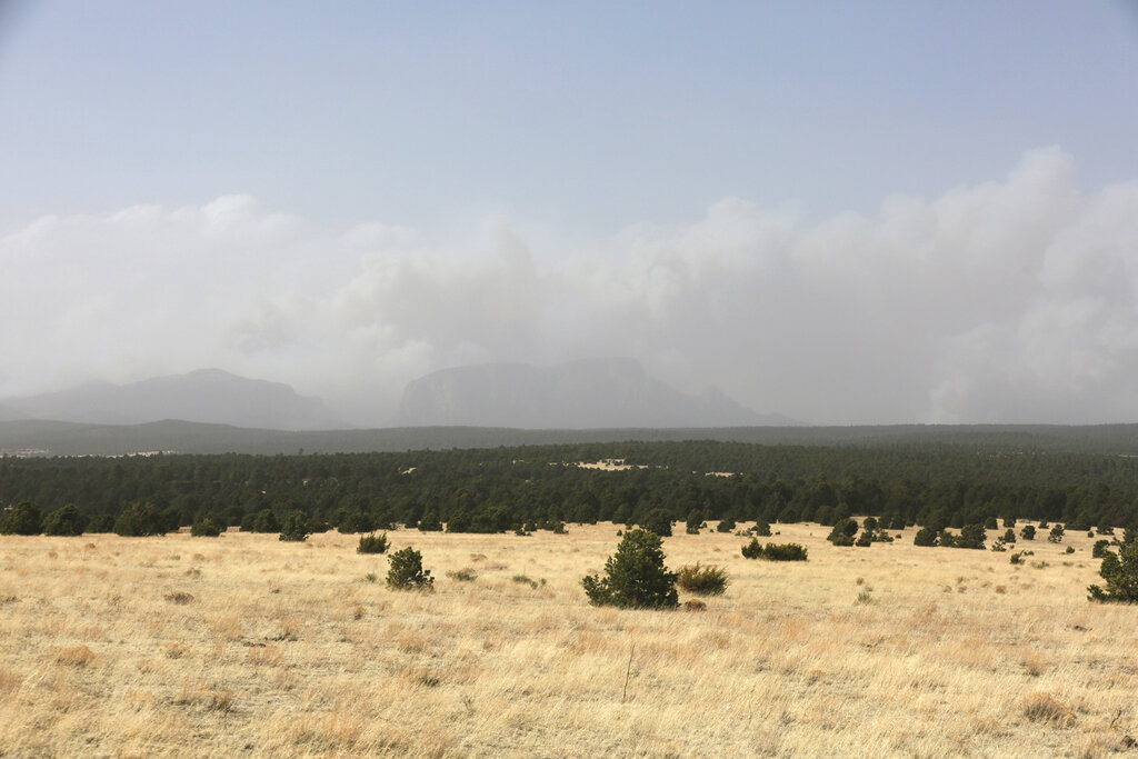 Declaran emergencia por incendios forestales en Nuevo M?xico