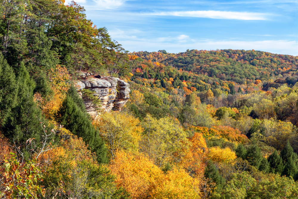 Midwestern U.S. Forests Doubled in Carbon Storage During the Holocene
