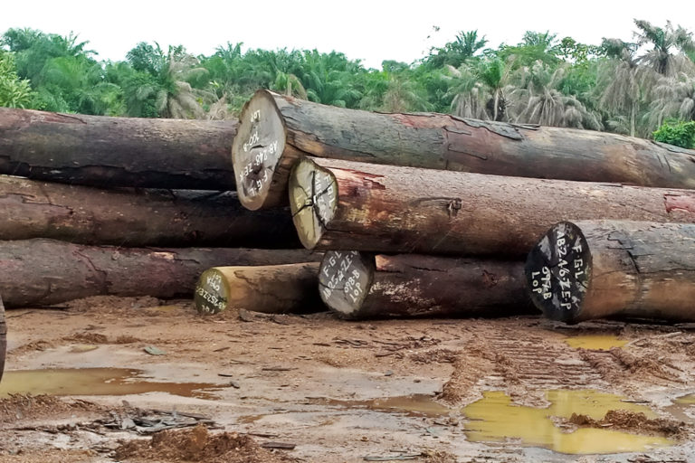 Liberian courts rubber-stamp export shipment of illegal logs