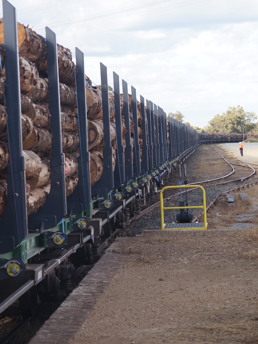 Saw logs moved more than 900km by rail to supply bushfire-impacted Riverina mills