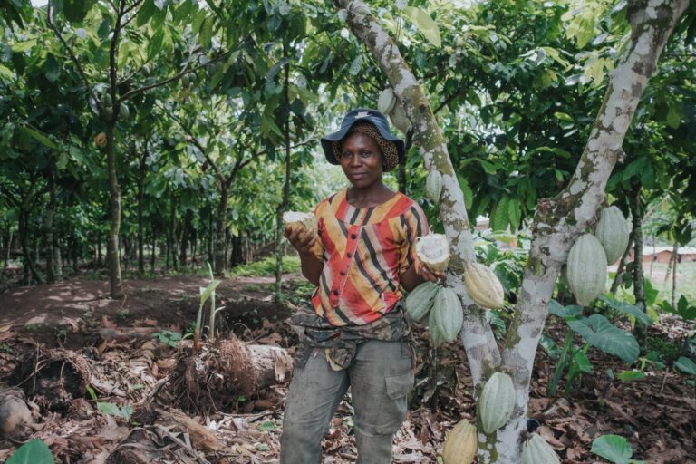Forests & Finance: Agroforestry in Cameroon and reforestation in South Africa