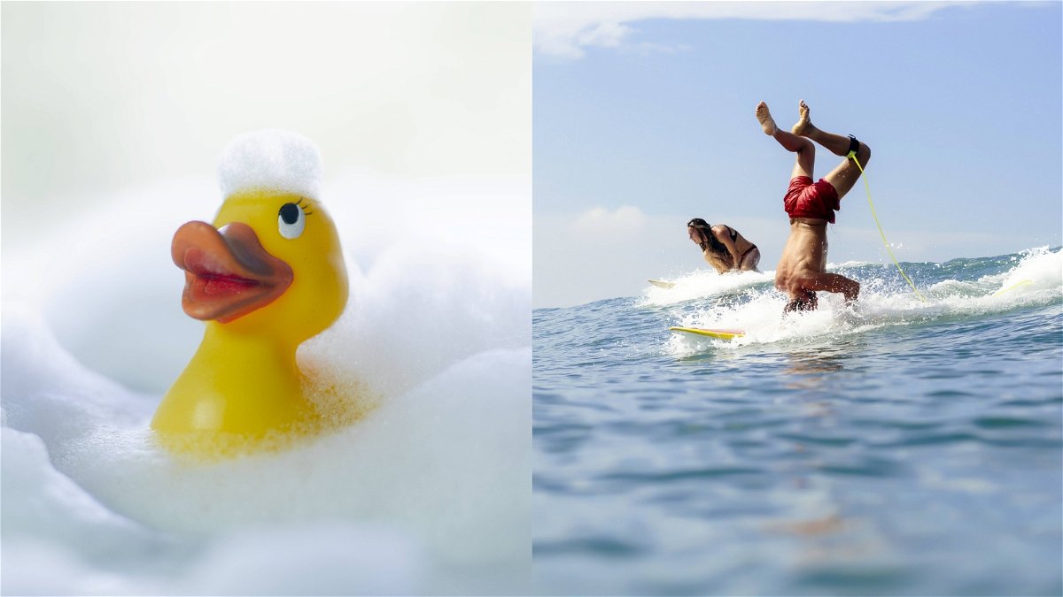 “This Quacks Me Up”: Fans Can’t Stop Laughing As Duo’s Hilarious Surfing Adventure on Duck Goes Viral All Over the Internet
