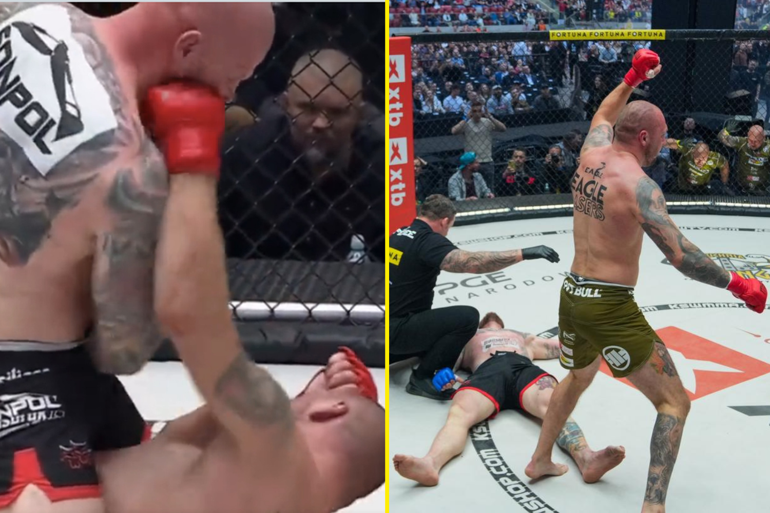 Former world champion boxer who lost title to Oleksandr Usyk pulls off insane MMA KO