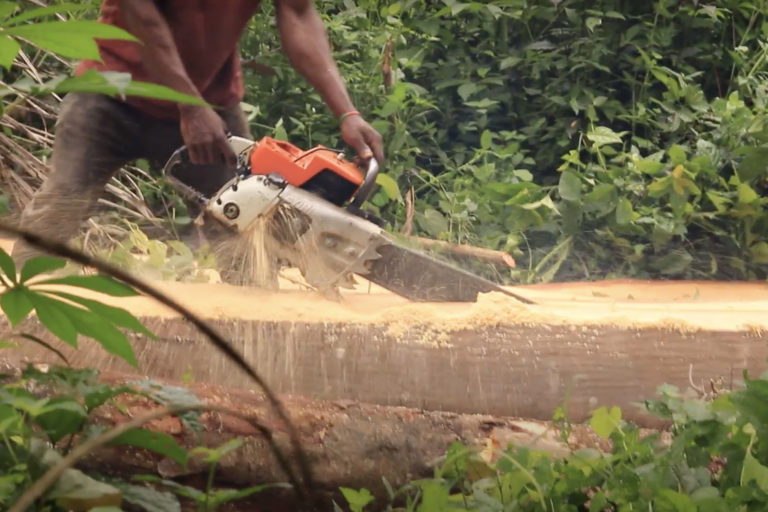Forests & Finance: Cameroon raw log ban expands and villagers act against ‘forest bandits’