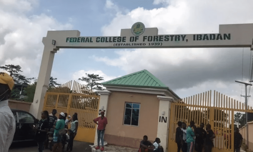 Ibadan College Shut Down Activities After EFCC, Students Clash