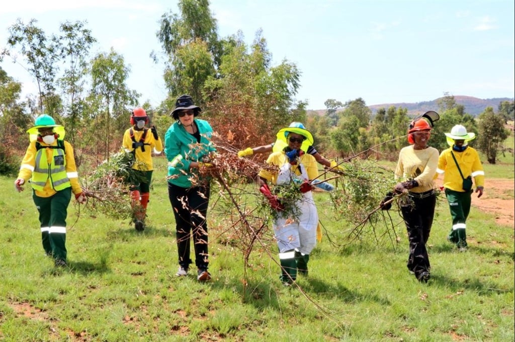 News24 | Barbara Creecy | Invasive alien plants worsen floods, droughts and wildfires – but there’s a plan to clear them and create jobs