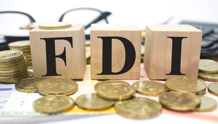 Nigeria lags as South Africa, Egypt lead in FDI project