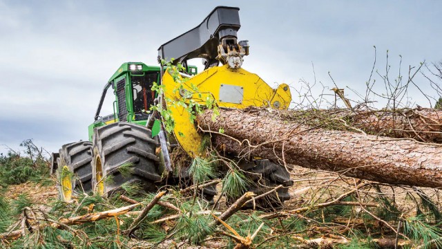 Deere & Company appoints Mary Pat Tubb as vice president of worldwide forestry