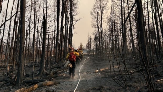 Alberta promises to deploy more firefighters as province braces for busy wildfire season