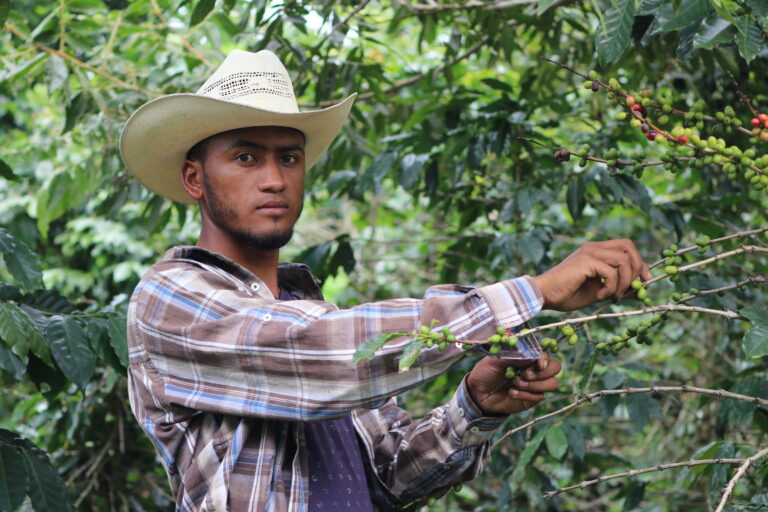 Agroforestry project sows seeds of hope in drought-hit Honduras