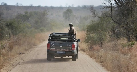 Wildlife Conservation | Experts say proposal will allow SANParks to make changes without checks