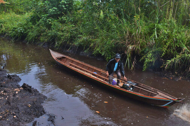 Borneo’s Dayak adapt Indigenous forestry to modern peat management