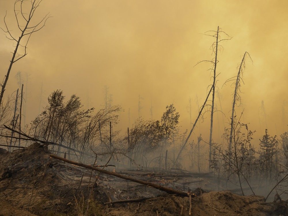 Northern MLA says forestry industry profits “up in smoke”