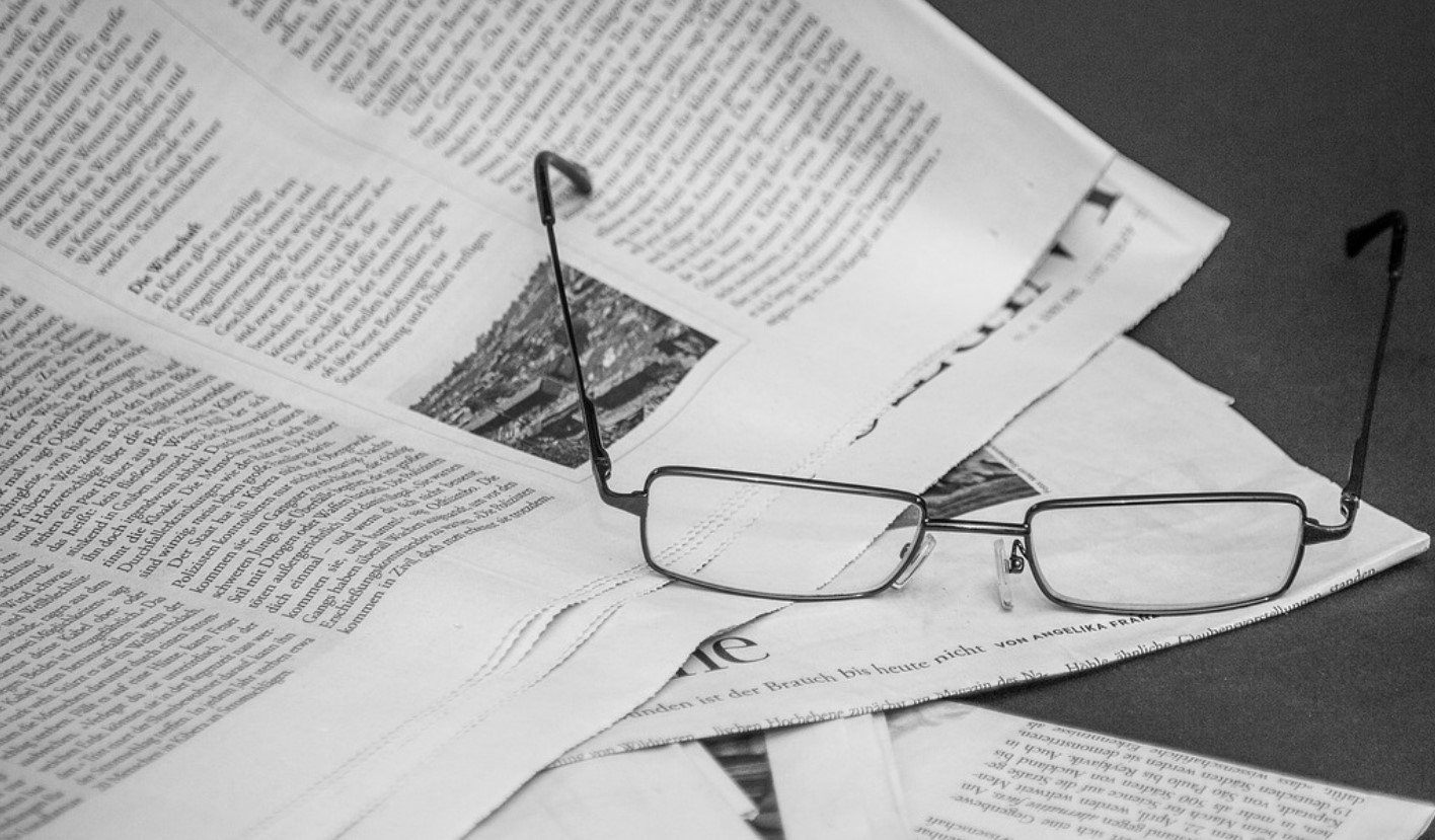 Forestry Corp’s Glider Den Tree Search Fails | Mirage News