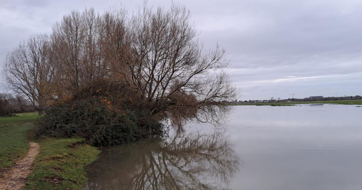 Boater saw man lying on the ground at Port Meadow