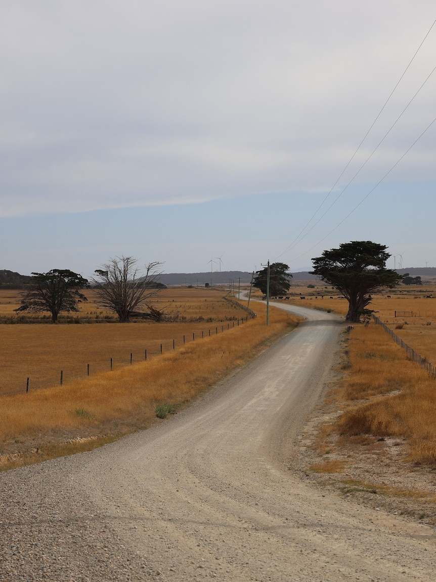 Tasmania’s largest farm could be sold to UK forestry investors