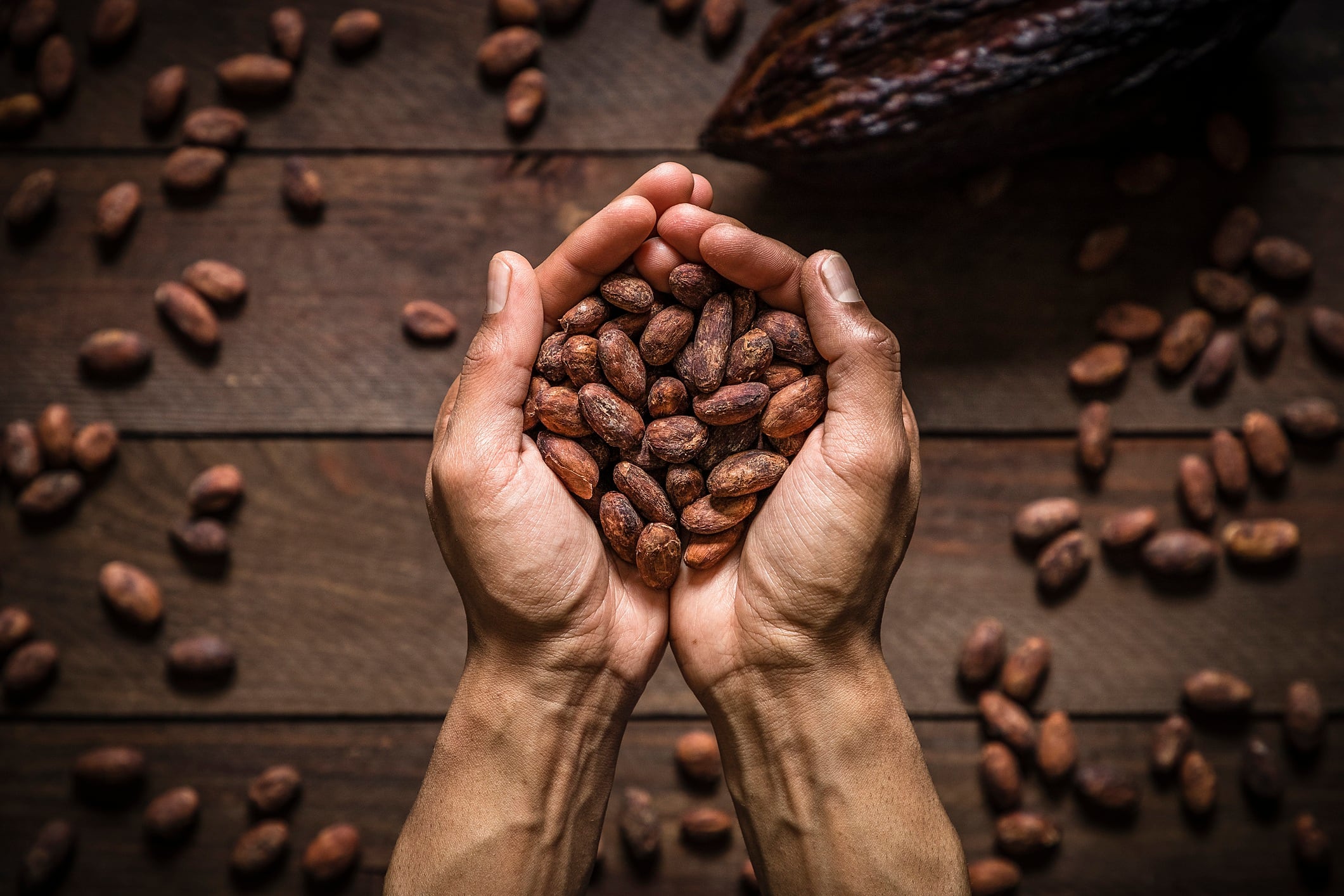 Mars steps up push for net zero cocoa at scale