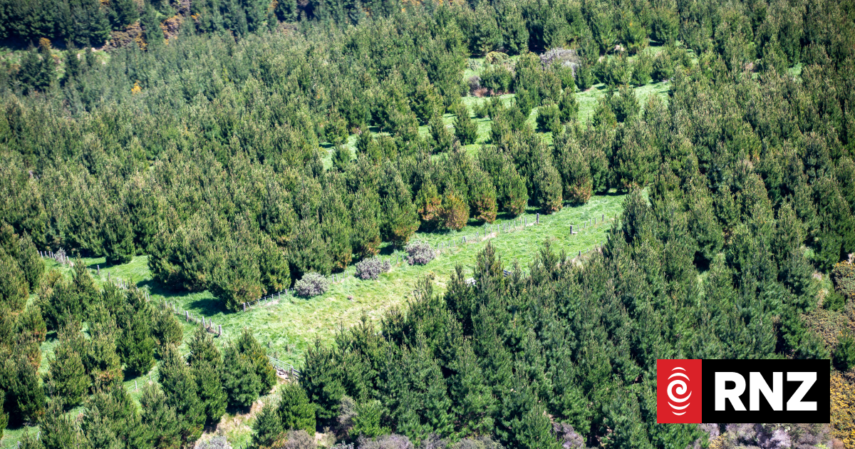 Forestry industry unsure if it’s included in national fuel plan