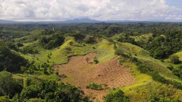We’re boosting agroforestry efforts to help the atmosphere and farmer livelihoods.