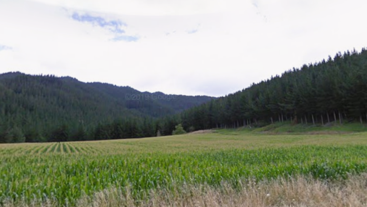One dead, one seriously injured after forestry incident in Hawke’s Bay